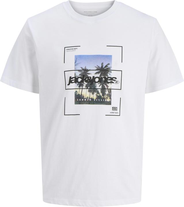 Jack & Jones Jcosystematic Tee Ss Crew Neck Stydss25 (M)