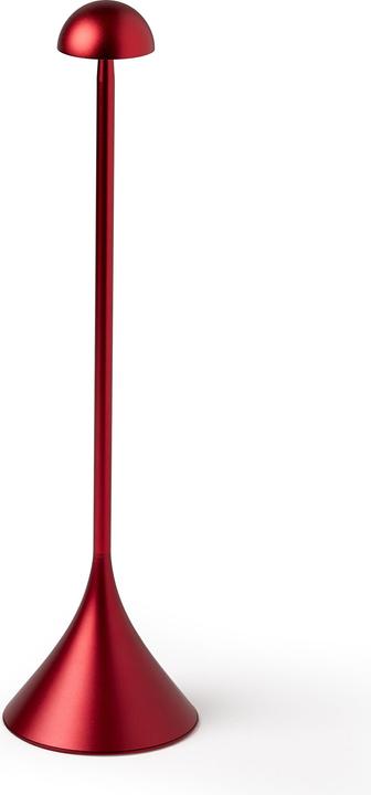 Actual product image Lexon Steli Dome (120 lm)