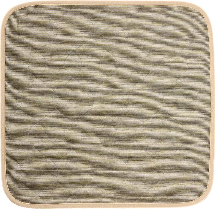 Image du produit Erwin Müller Coussin d'assise pour incontinence (pack de 5) (Litière)