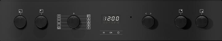 Produktbild Miele H 2456-60 E ACTIVE