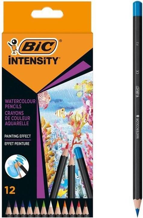 Teka Intensity Premium Buntstifte 12 Stück (12 colori vivaci, 12 x)