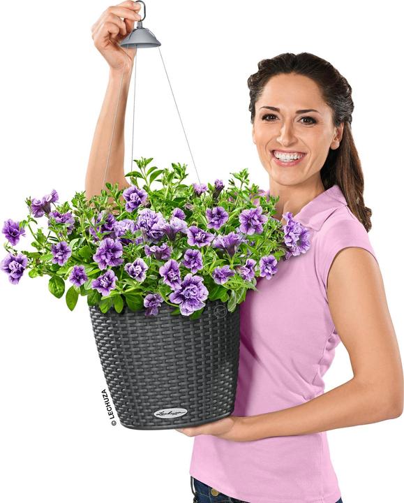 Actual product image Lechuza Nido Cottage (27 cm)