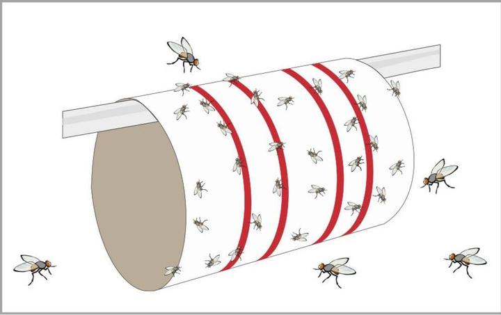 Actual product image Redtop Fly trap fly bow 3109
