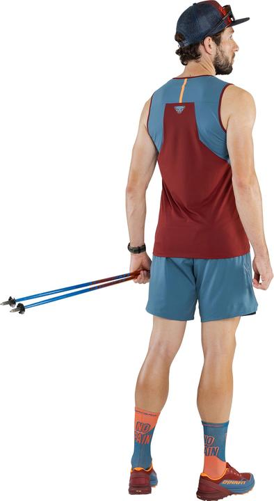 Produktbild Dynafit ALPINE PRO 2/1 SHORTS, Herren (XXL)