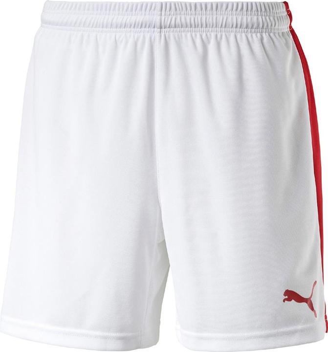 Puma Pitch Shorts Withinnerbrief (S)
