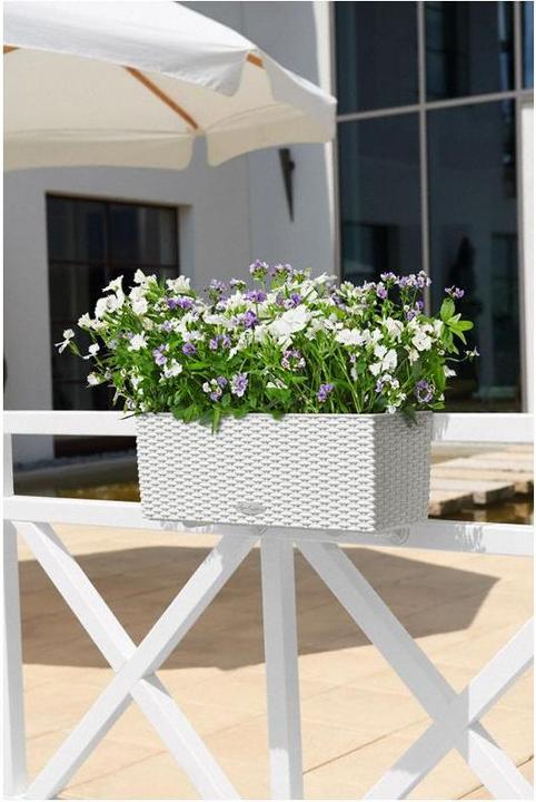 Immagine prodotto Lechuza Balconera Cottage (19 cm)