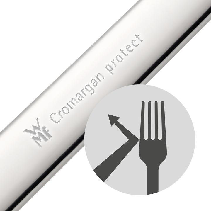 Actual product image WMF Merit (1 Piece, Scoops)