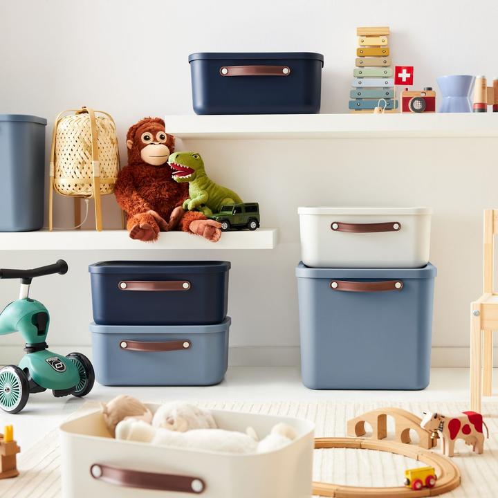 Image du produit Rotho Lot de 2 boîtes de rangement 12 l et 25 l MALOJA (25 l)