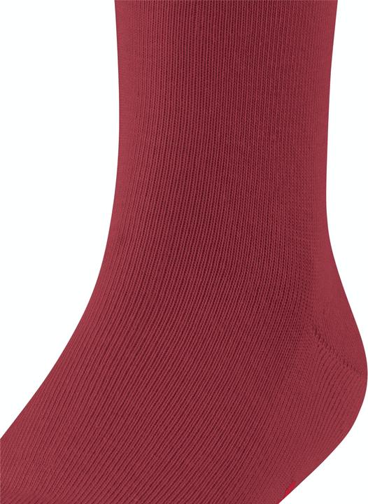 Actual product image Falke Family SO (Single pack, 19 - 22)