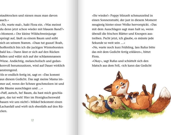 Produktbild Die wilden Waldhelden. Wir gehören zusammen! (Deutsch, Andrea Schütze, Carola Sieverding, 2022)