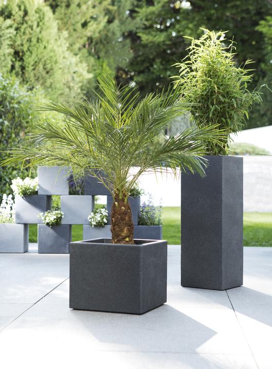 Produktbild Scheurich C-Cube High (26 cm)