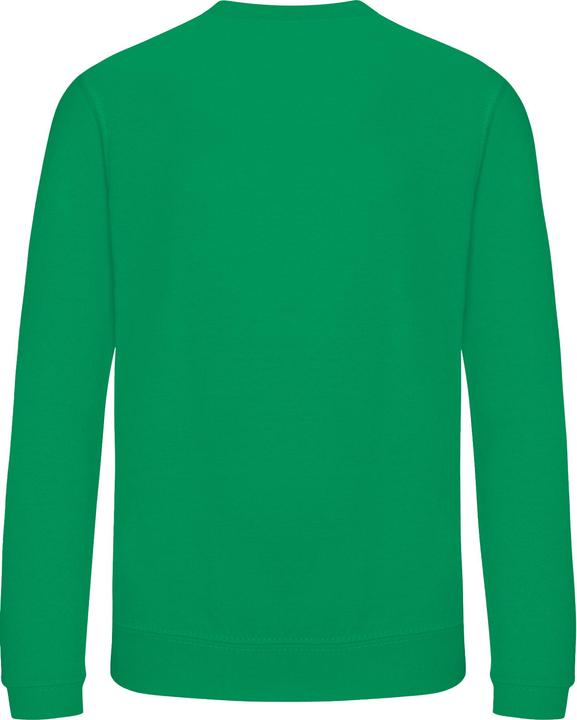 Image du produit Awdis - Sweat JUST HOODS - Enfant (116)