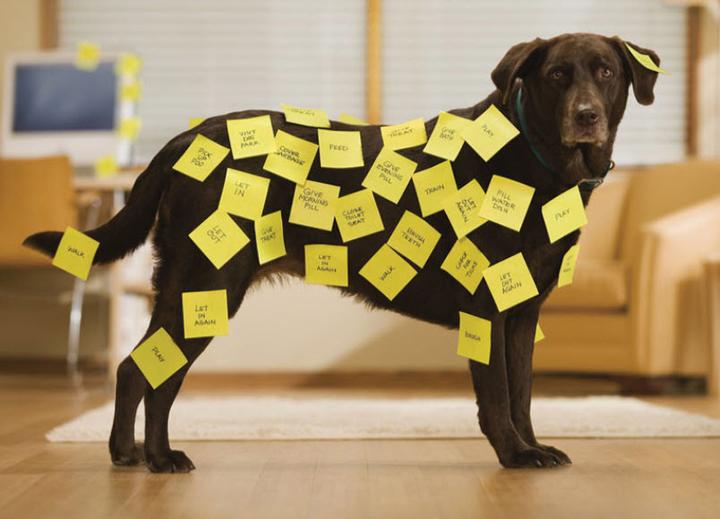 Immagine prodotto Post-it Cubo (76 x 76 mm)