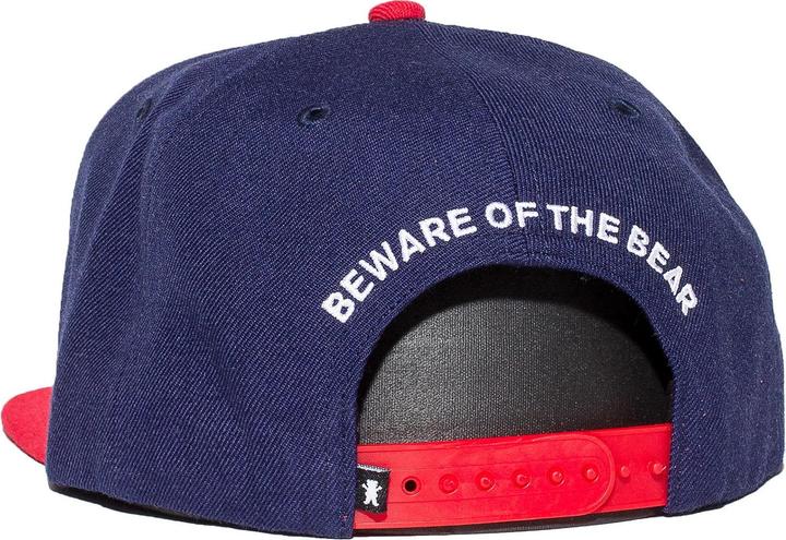 Actual product image Grizzly Top team snapback (One size)