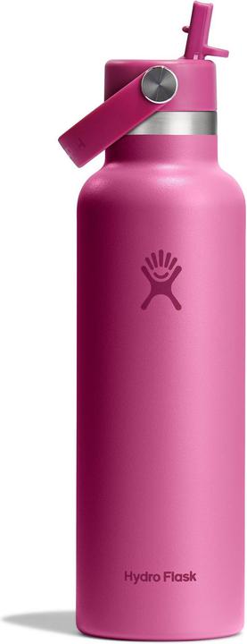 Produktbild Hydro Flask Flasche Standard Mouth Flex Straw Cap Reef (0.62 l)