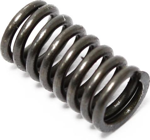 Actual product image Wiltec Spare Part Oil Bath Clutch Free Spring 6,5 - 13 hp (Garden machinery spare parts)