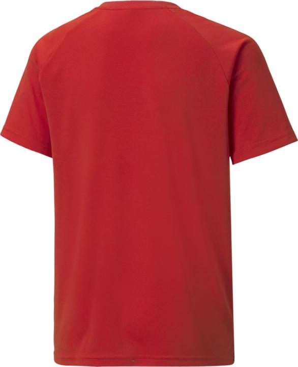 Produktbild Puma teamLIGA Striped Jersey Jr-704927 (176)