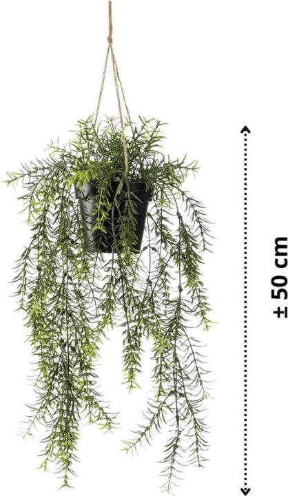 Productafbeelding Emerald Kunstpflanze (50 cm)