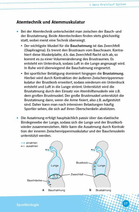 Produktbild Abi last minute Sport (Deutsch, Christoph, Seibold, 2023)