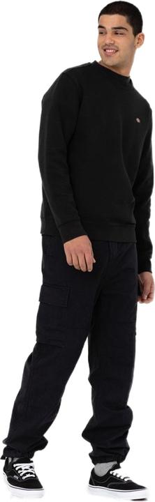 Produktbild Dickies Eagle Bend (29)