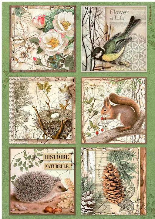 Actual product image Stamperia Forest" motif straw floss, DIN A4