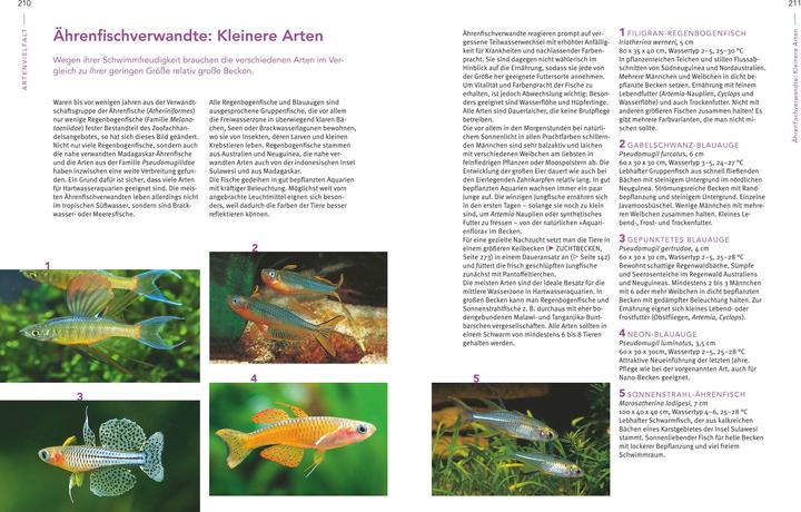 Actual product image Das grosse Praxishandbuch Aquarium (German, Ulrich Schliewen, 2017)