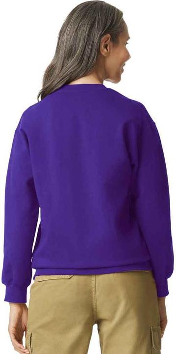 Immagine prodotto Gildan Softstyle Felpa Uomo (XL)