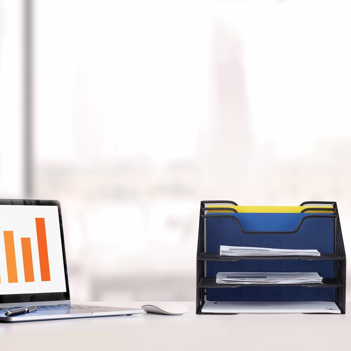 Actual product image Relaxdays Document Organizer, 5 Compartments (A4)