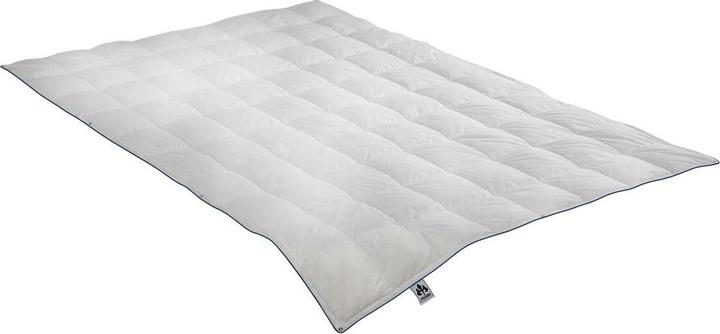 Irisette Down comforter Laura light, filling: 100% goose down