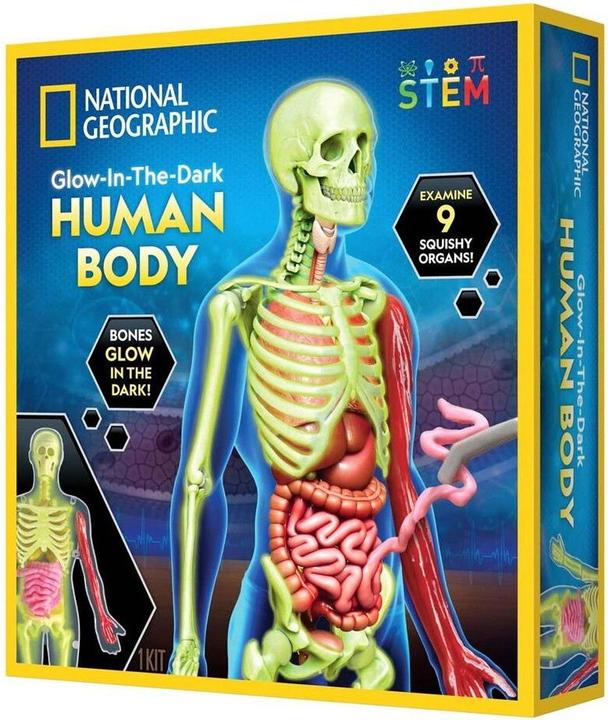 Image du produit National Geographic Kit de science du corps humain (29-2454)