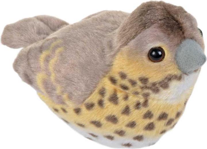 Image du produit Wild Republic Grive musicienne avec cris d'oiseaux (18 cm)