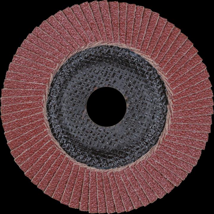 Actual product image Pferd Polifan A-Plus flap discs (80)