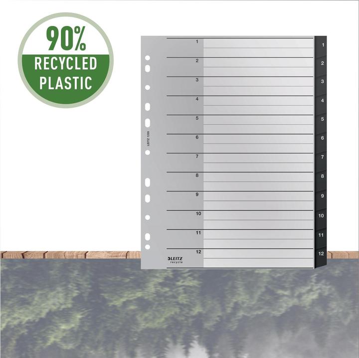 Image du produit Leitz RECYCLE - Enregistrer PP