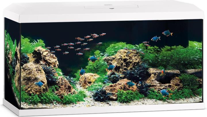 Produktbild Juwel Primo (110 l)