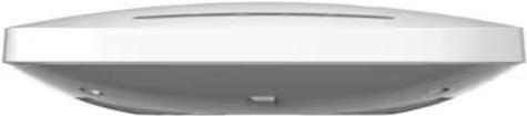 Actual product image Netgear WAX214 (1201 Mbit/s)