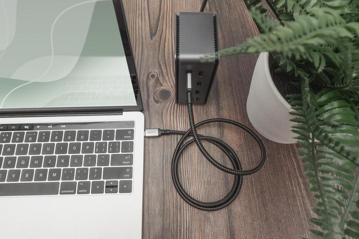 Image du produit Digitus USB C – USB C (3 m, USB 4.0)