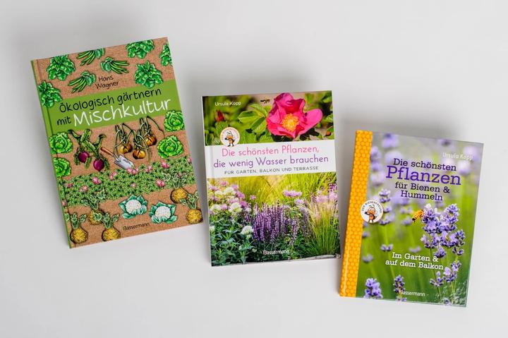 Produktbild Die schönsten Pflanzen, die wenig Wasser brauchen für Garten, Balkon und Terrasse - 66 (Deutsch, Ursula Kopp, 2020)