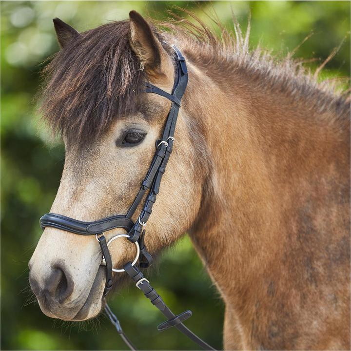 Waldhausen Iceland snaffle anatomic