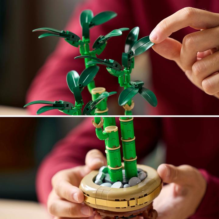 Productafbeelding LEGO Glücks-Bambus (10344, LEGO Icons)