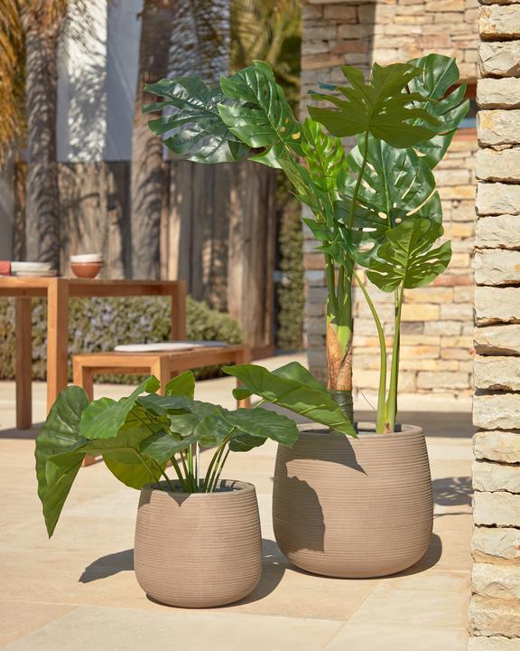 Produktbild Kave Home Alocasia Odora (57 cm)