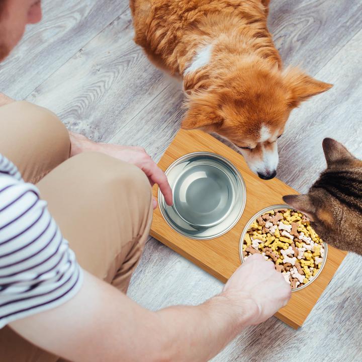 Immagine prodotto Relaxdays Ciotola Rialzata, Gatti & Piccoli Cani (0.30 l)