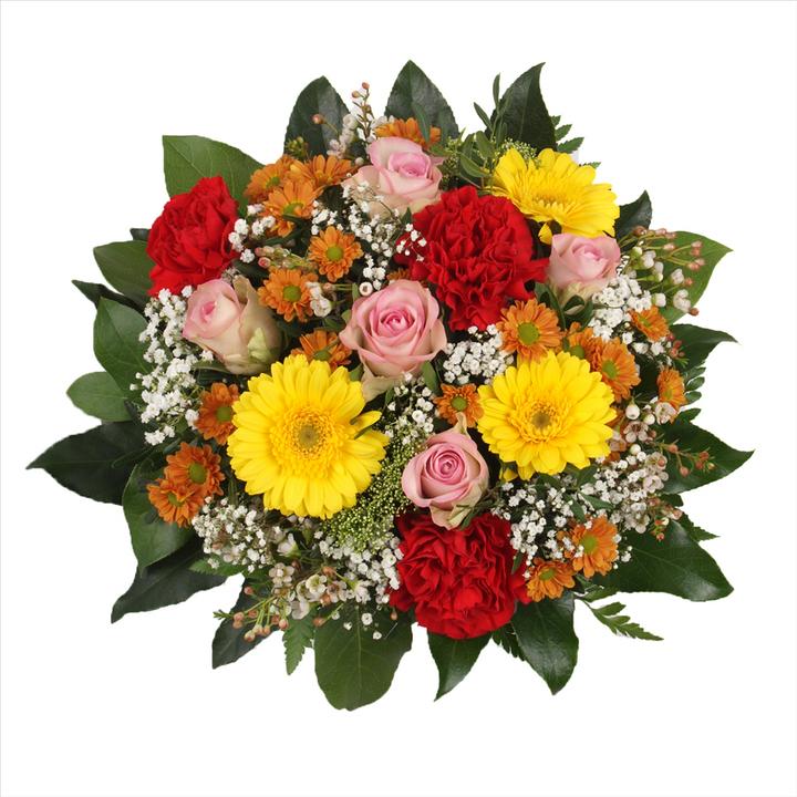 Floramall Funny Colours (Cut flowers)
