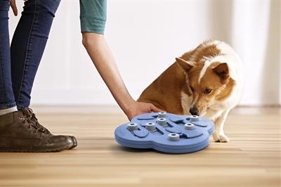 Image du produit Nina Ottosson Chien Hide N' Slide (Jouet intelligent chien)