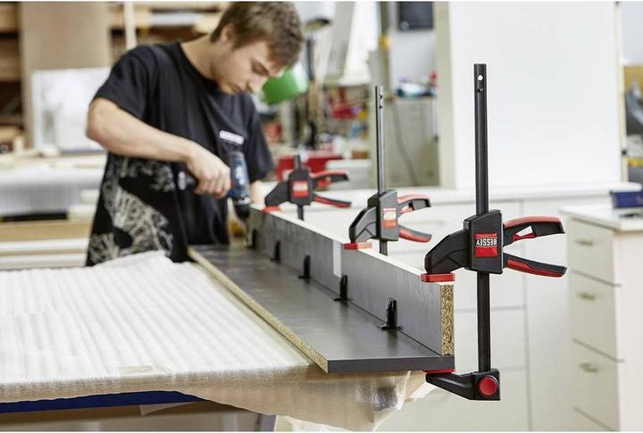 Image du produit Bessey Jeu de pinces à une main (300 mm)