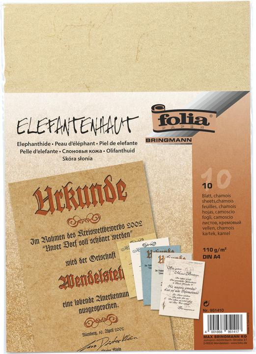 Image du produit Folia Parchemin (110 g/m², 1 x)