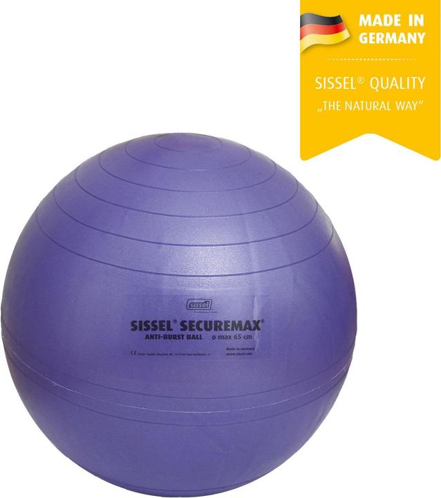 Actual product image Sissel Securemax (65 cm)