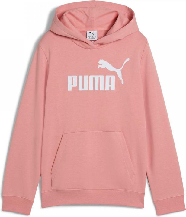 Actual product image Puma ESS No. 1 Logo Hoodie TR G (152)
