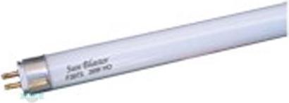 Sunblaster T5 Leuchtstoffröhre 54W/118cm 2700K (LED, 230 V)