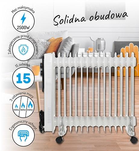 Image du produit Adler AD 7819 (2500 W)