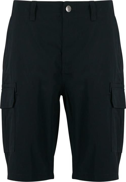 Produktbild Dickies Millerville Shorts (30)